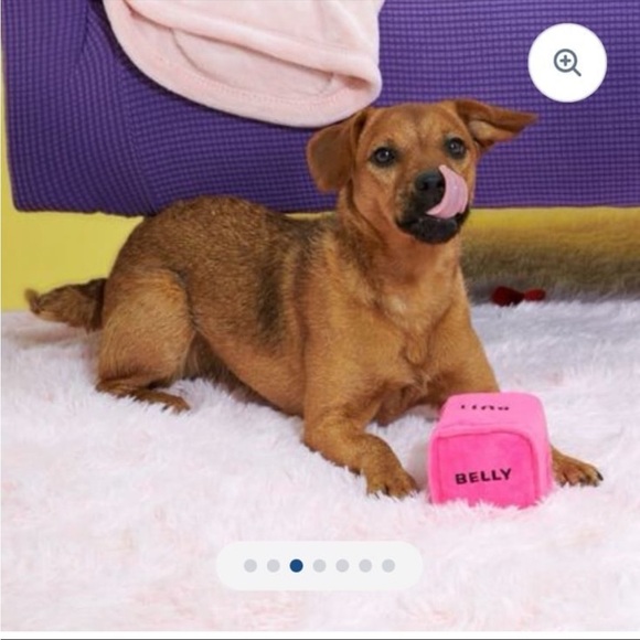 Bark box Gnawty dice for small
Dogs NWT - Picture 4 of 7